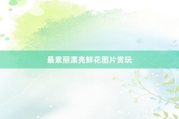 最素丽漂亮鲜花图片赏玩