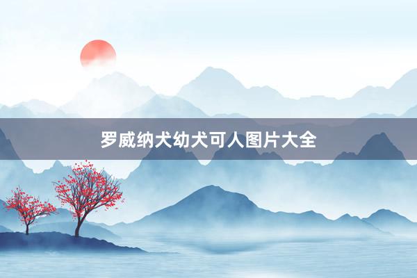 罗威纳犬幼犬可人图片大全