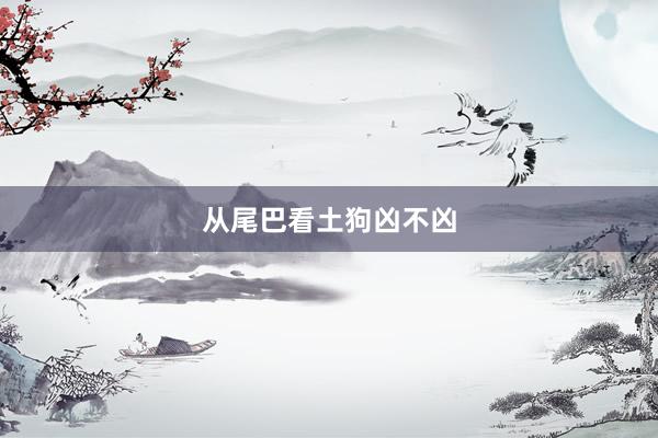 从尾巴看土狗凶不凶