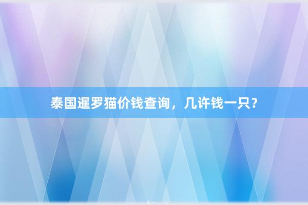 泰国暹罗猫价钱查询，几许钱一只？